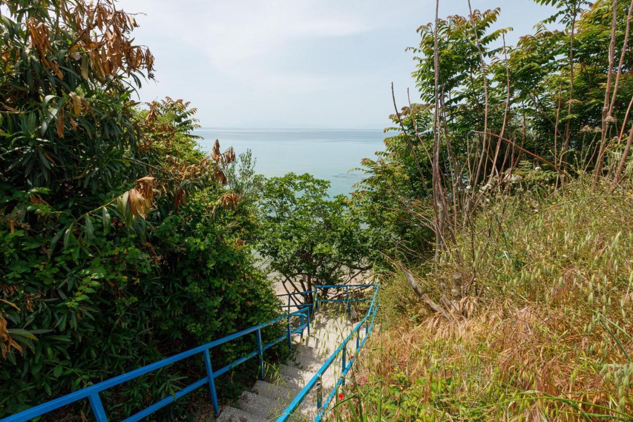 Lofos Apartments In Vergia Halkidiki Созополь Экстерьер фото